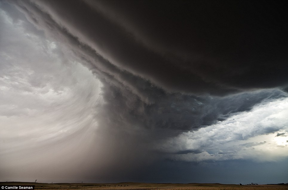 ��Ӱʦ��׽�������������𺳱���