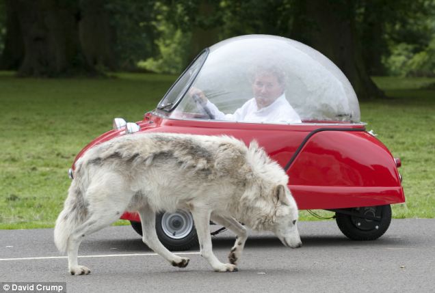 Ӣ���οͼ����ݳ����Ա�Ϯ��