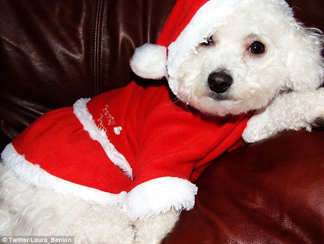 Ӣ��С�������������ö�������