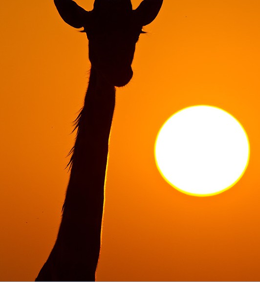 ��֪����ô��Ұ��������д�漯�𣿣�ͼ��