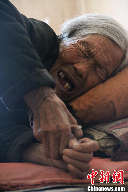 91��ο�����Ҵ��߿���ձ���Ǹ