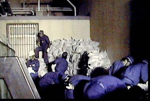 �ع���ʷ��11���й©�¹�