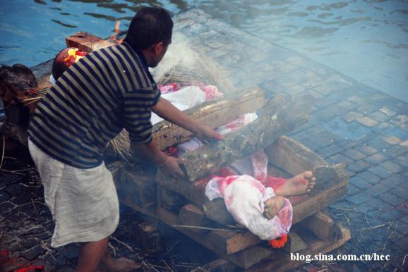 �Ჴ�����˿ֲ��Ļ��ᡪ��������