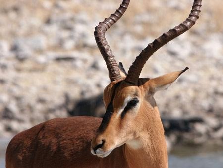 �̵㶯���������ͬ�������� ��Ȥ��