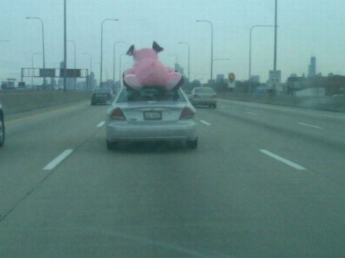 �����������˲���׽�� ��ЦͼƬЦ����