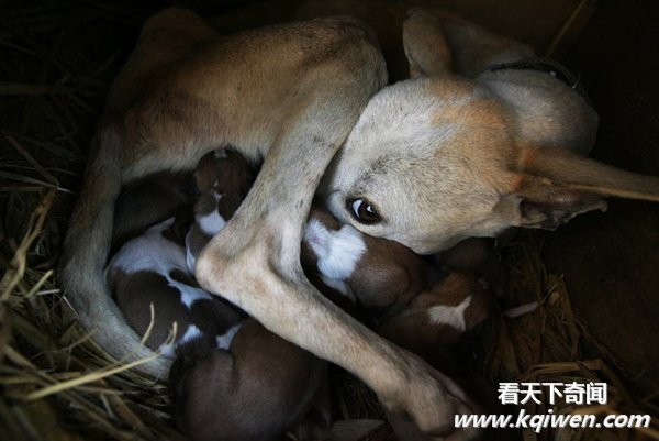 ʵ�Ķ�����Ȥ˲�䣬�ȷ���