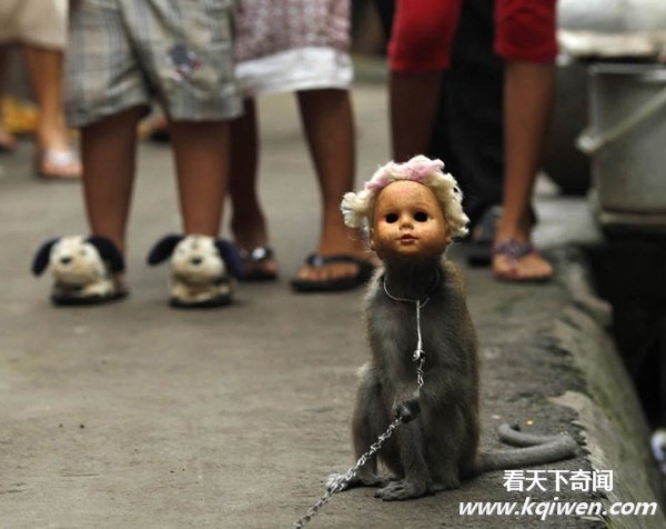 ʵ�Ķ�����Ȥ˲�䣬�ȷ���