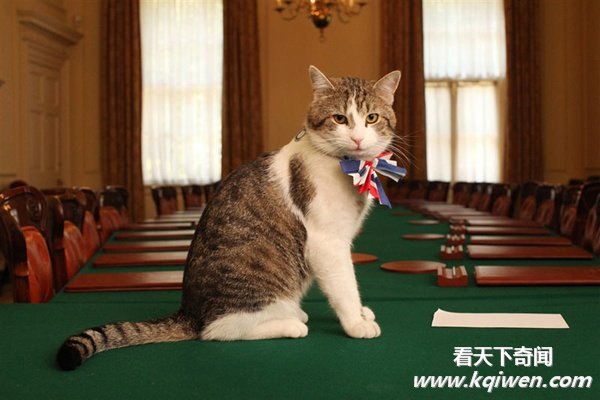 ʵ�Ķ�����Ȥ˲�䣬�ȷ���