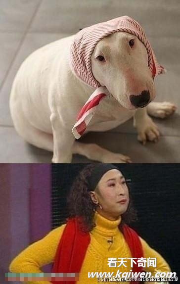 �̵������붯��Ҳ����ײ�� ����Ҳ߯����(��ͼ)