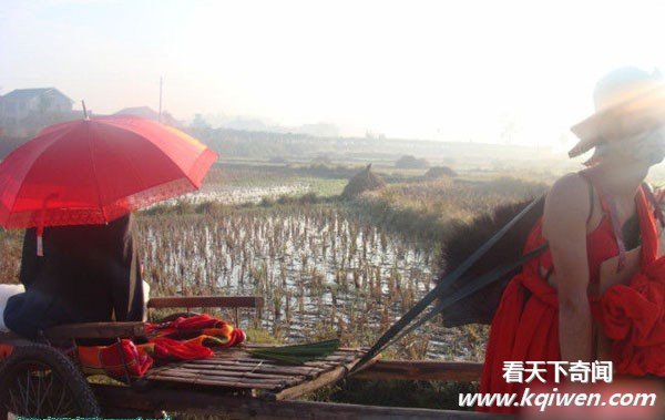 ��ʶ��ũ���ʱ�ж����� ɫ��������������(��ͼ)