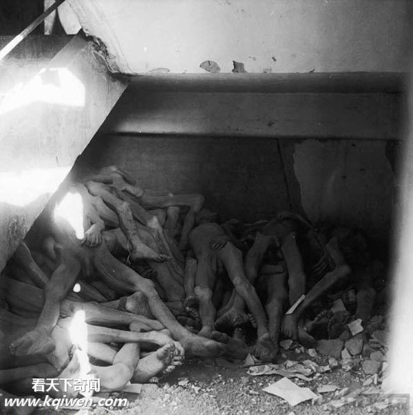 �����ɴ⼯��Ӫ��״��������ź�����ʬ��(��ͼ)