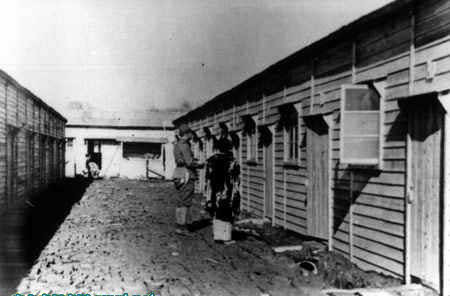 ����Ƭʵ�Ľ���ο�������� ������ū��(��ͼ)